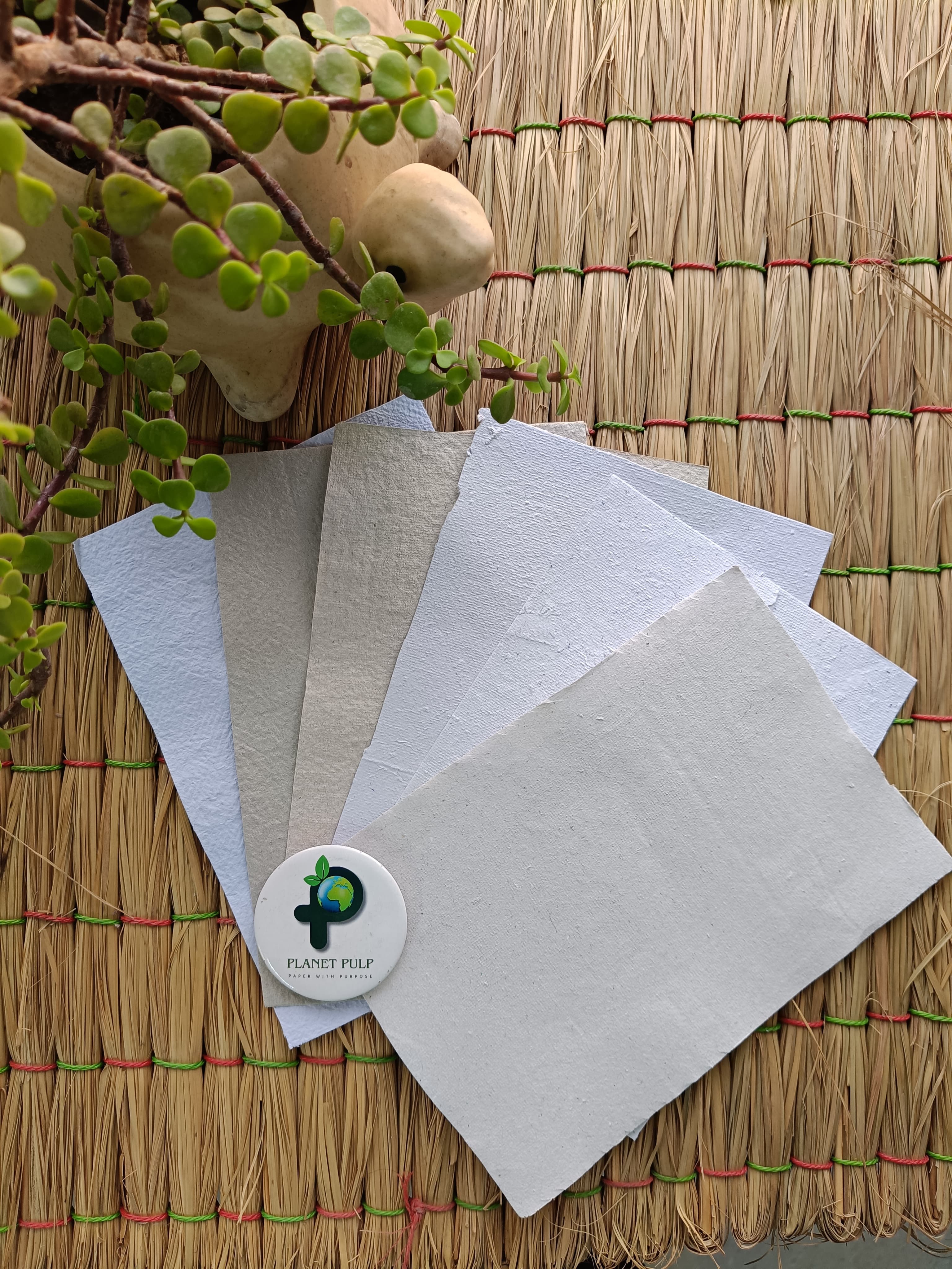 Eco-Friendly Papers
